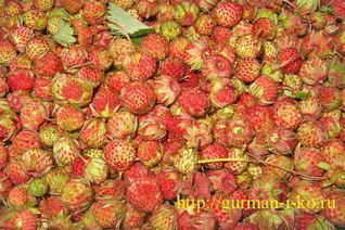 Варенье из луговой клубники