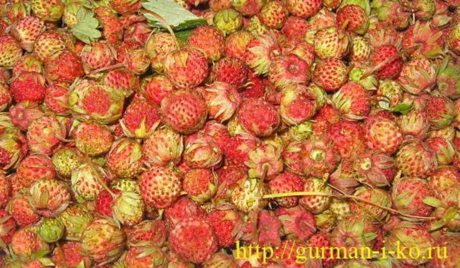 Рецепт варенья из луговой клубники