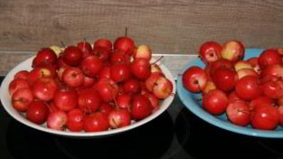 варенье из ранеток с хвостиками