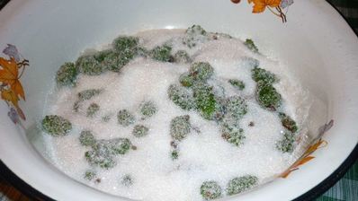 варенье из сосновых шишек