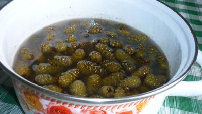 варенье из сосновых шишек