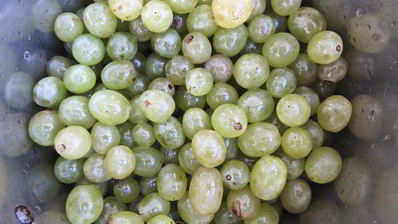 виноградное варенье