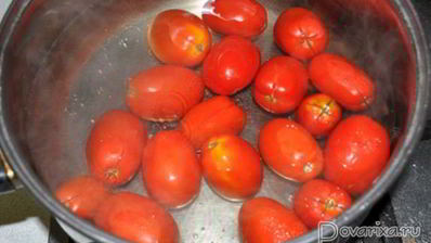 заготовка пассаты