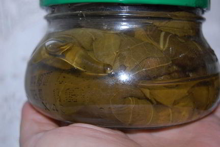 Заготовка виноградных листьев