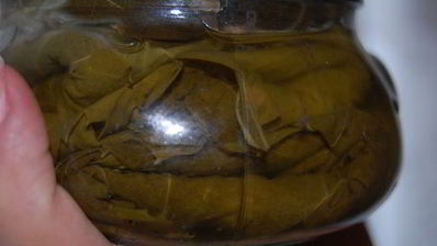 заготовка виноградных листьев