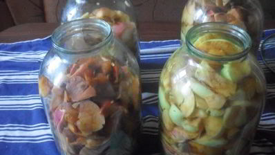 заготовка яблочного сока без соковыжималки