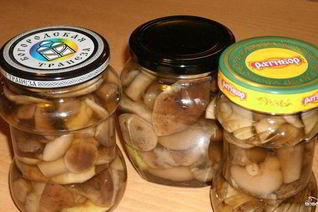 Закатка грибов на зиму