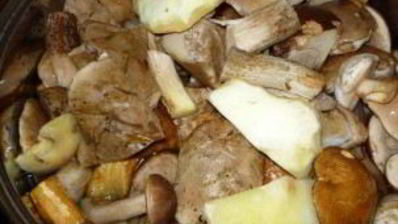 закатка грибов на зиму