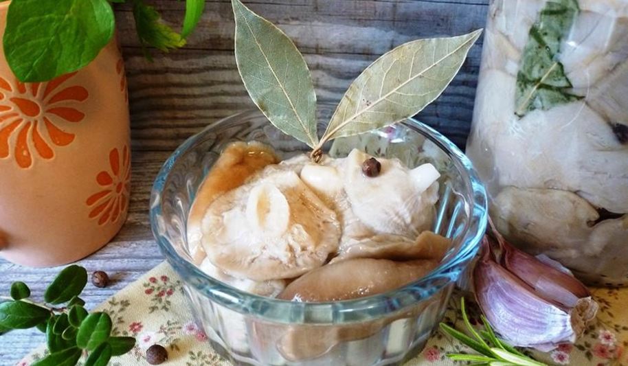 Рецепт засолки груздей на зиму в банках