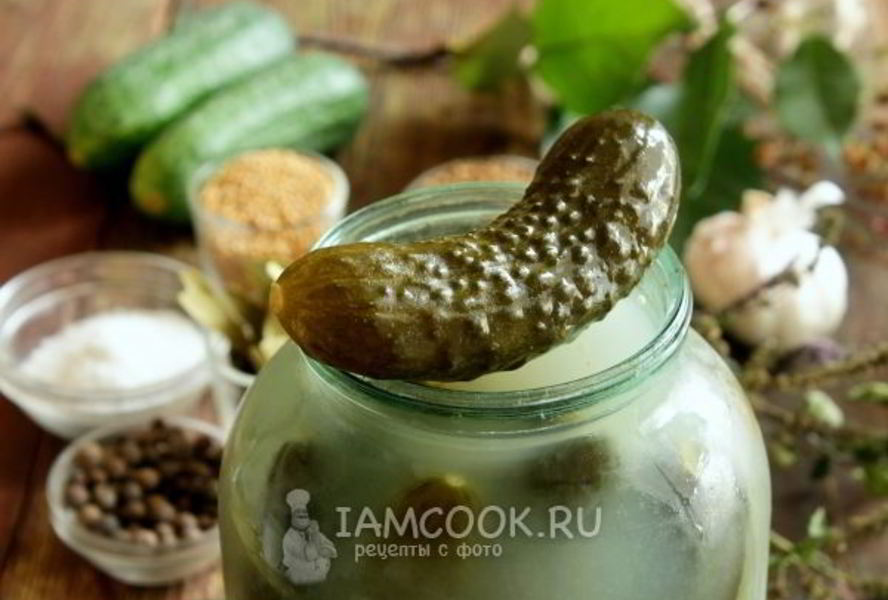 Засолка хрустящих огурцов на зиму