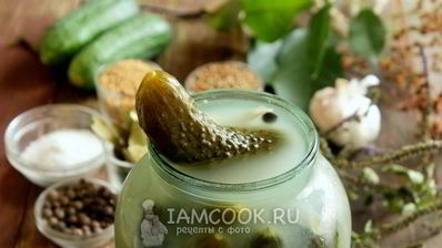 засолка хрустящих огурцов на зиму