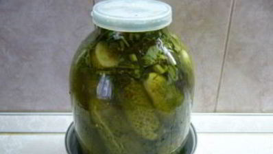 засолка огурцов в банках