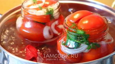 засолка помидоров пальчики оближешь на зиму