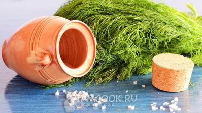 засолка укропа на зиму