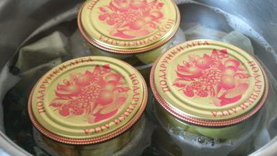 зеленые помидоры на зиму