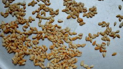 брускетта с рыбой, творогом и кабачком