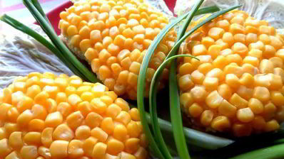 бутерброды букет мимоз