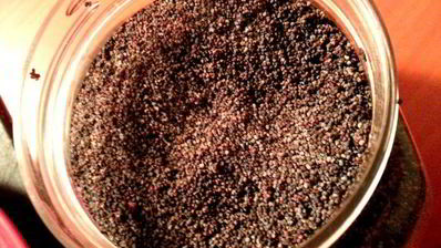 просто бутерброды с рыбой