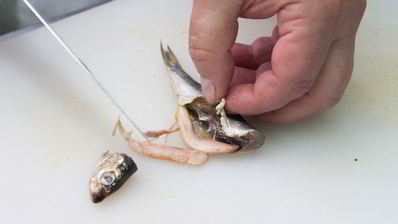 гренки с килькой