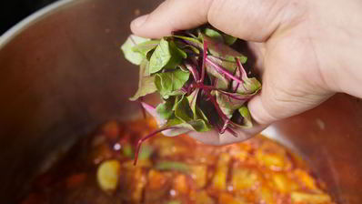 икра из кабачков и баклажана