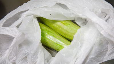 икра из крапивы