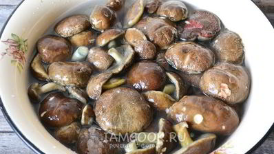 икра из моховиков