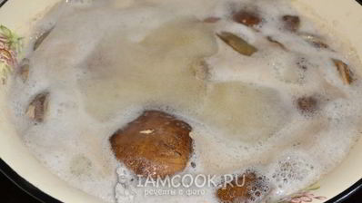 икра из моховиков