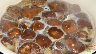 икра из моховиков