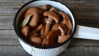 икра из опят замороженная