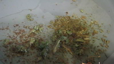 канапе с черной чечевицей фуршетные