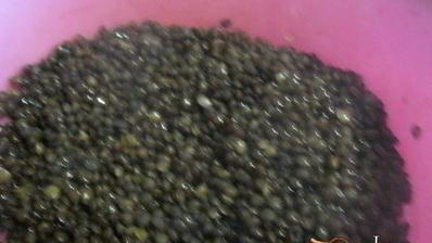 канапе с черной чечевицей фуршетные