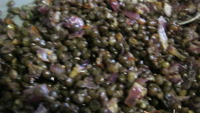 канапе с черной чечевицей фуршетные