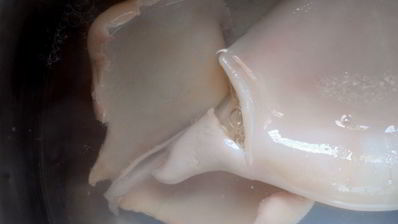 творожно-кальмарная паста для канапе