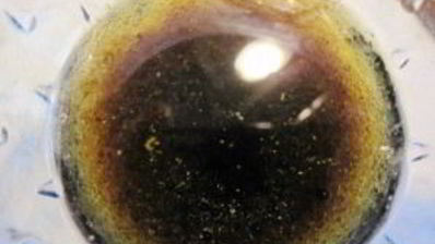 карпаччо из семги