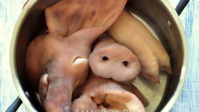 холодец из свиной головы