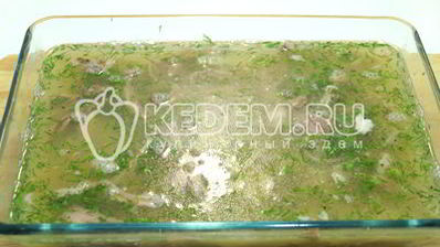 холодец из свиной рульки