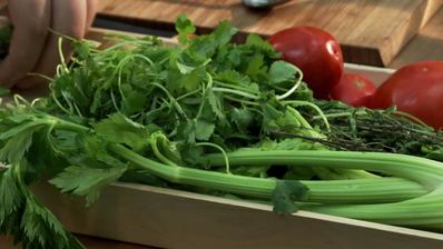 хот-дог с сердцем индейки, овощами и брынзой