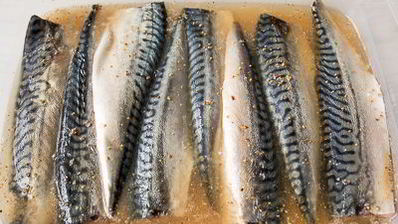 маринованная скумбрия