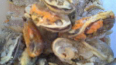 морской омлет