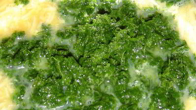 закуска из омлета, сыра и красной рыбы