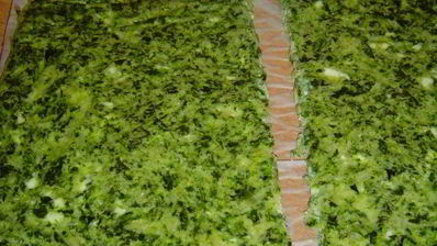 закуска из омлета, сыра и красной рыбы