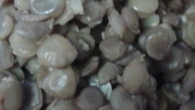 паштет из чечевицы с кешью и черносливом