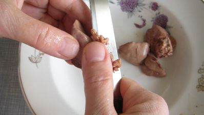 паштет из куриной печени с клюквенным желе