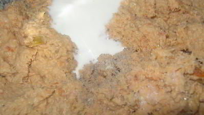 паштет из семги