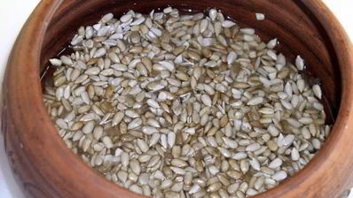 паштет из семян подсолнечника