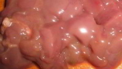 паштет из утки с апельсинами