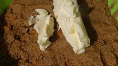 печёночный паштет