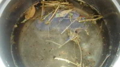 помидоры с морковкой и луком на зиму