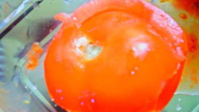 пряные фаршированные помидоры