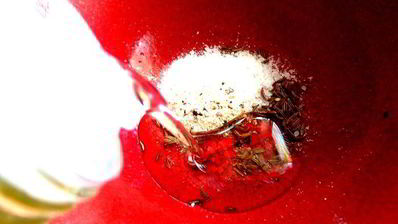 маринованные роллы из молодых кабачков